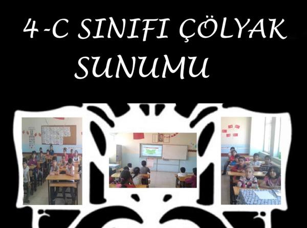 4/C Sınıfı Çölyak Sunumu